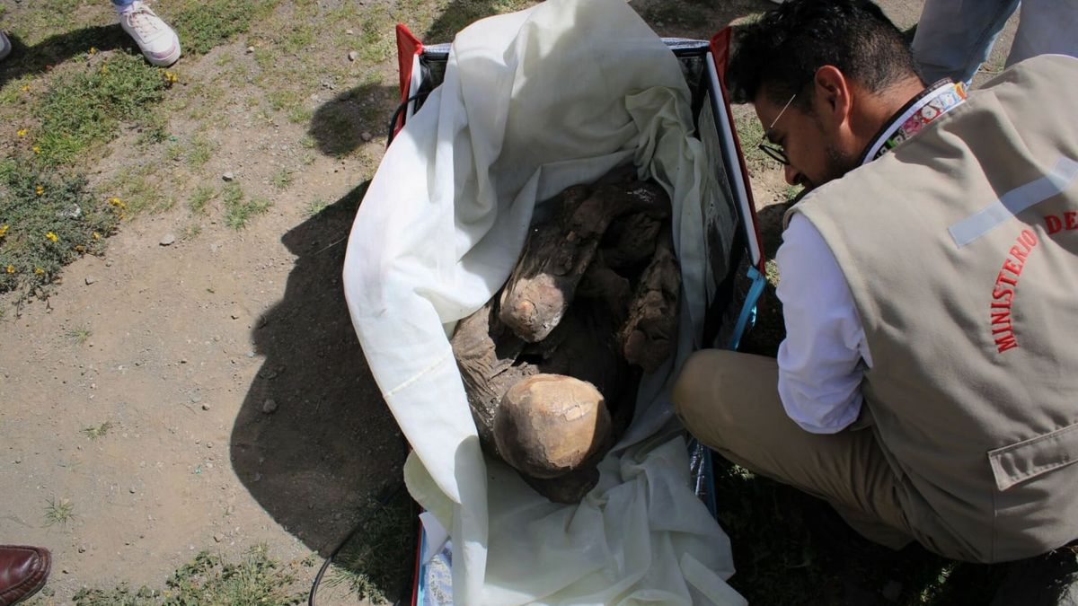 Encuentran una momia prehispánica en la mochila de un repartidor a domicilio en Perú