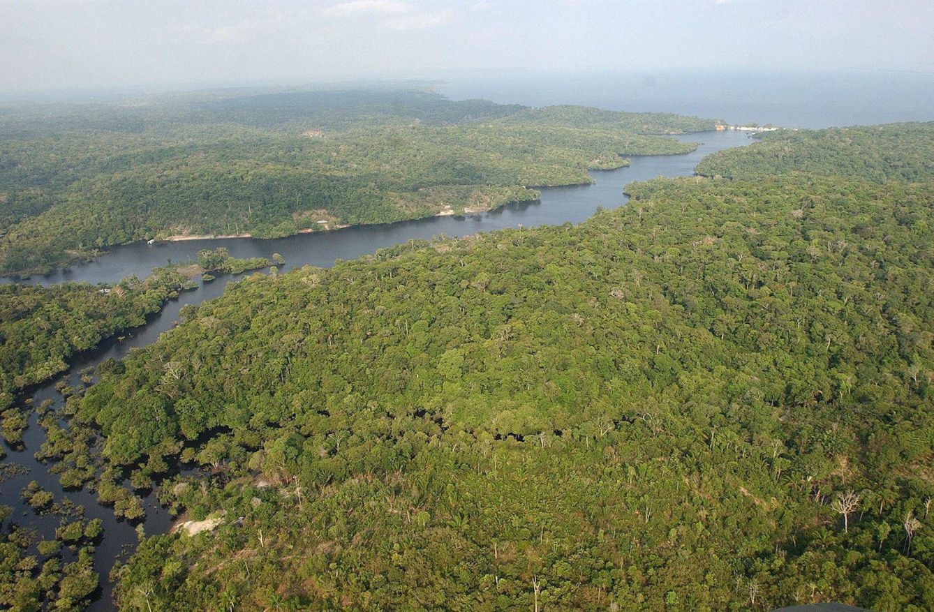 Fotografía de archivo de 2003 de la floresta amazónica brasileña. (EFE)