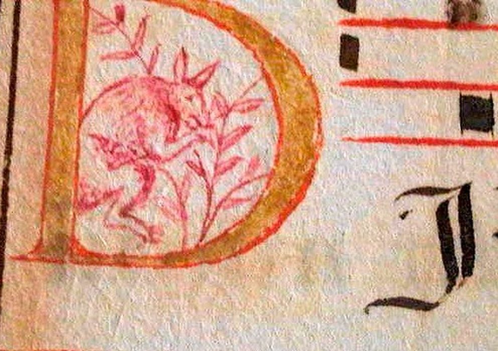Foto: El supuesto canguro que aparece en un manuscrito portugues del siglo XVI. (Enluminures Gallery)