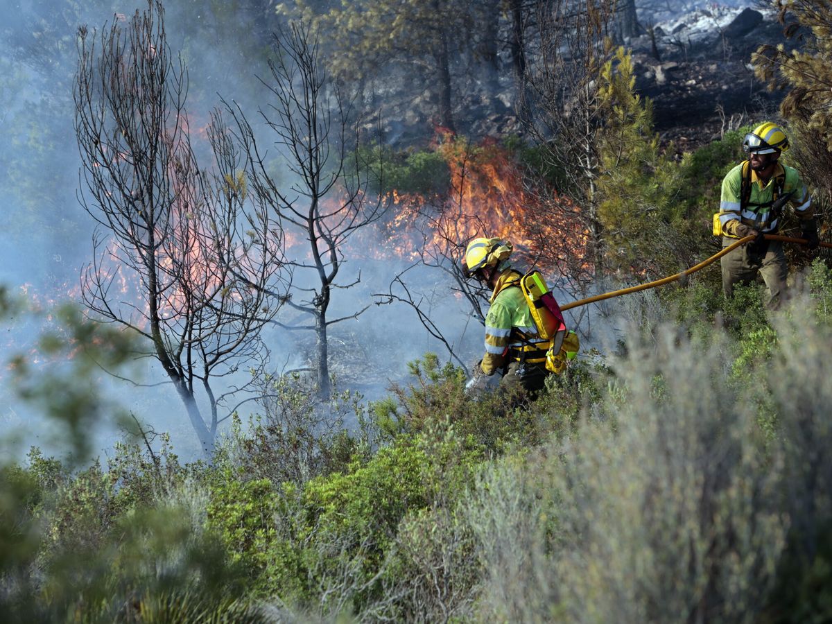 Foto: Bomberos trabajan en un incendio forestal en una imagen de archivo. (EFE/Doemench Castelló)