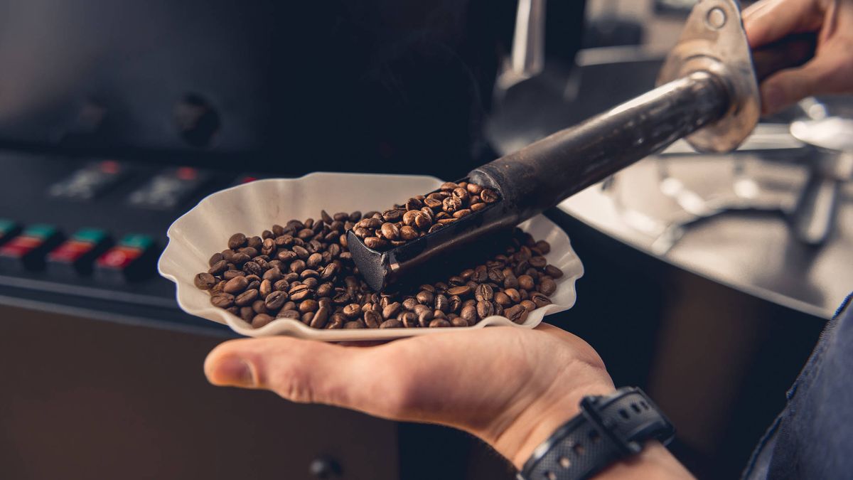 Tomar café reduciría el riesgo de párkinson (incluso entre los que tienen más posibilidades genéticas)
