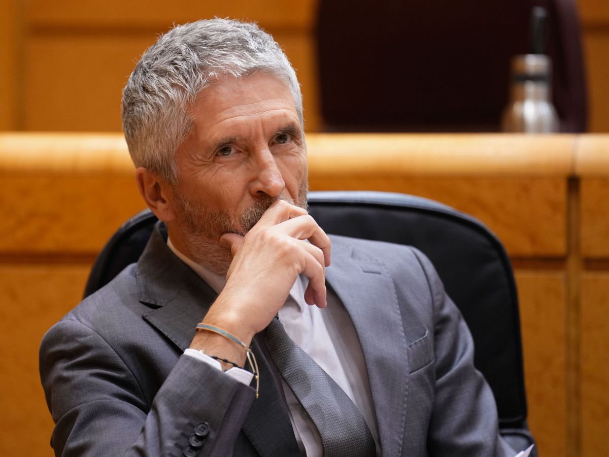 Foto: El ministro del Interior, Fernando Grande-Marlaska, en el Senado. (EFE/Borja Sánchez-Trillo)