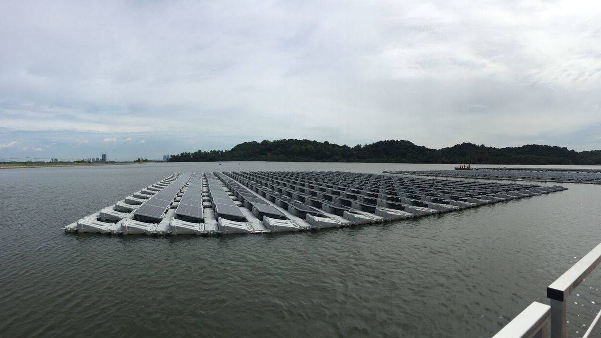 Tinta 'solar' y paneles flotantes: avances que revolucionarán las renovables en el futuro