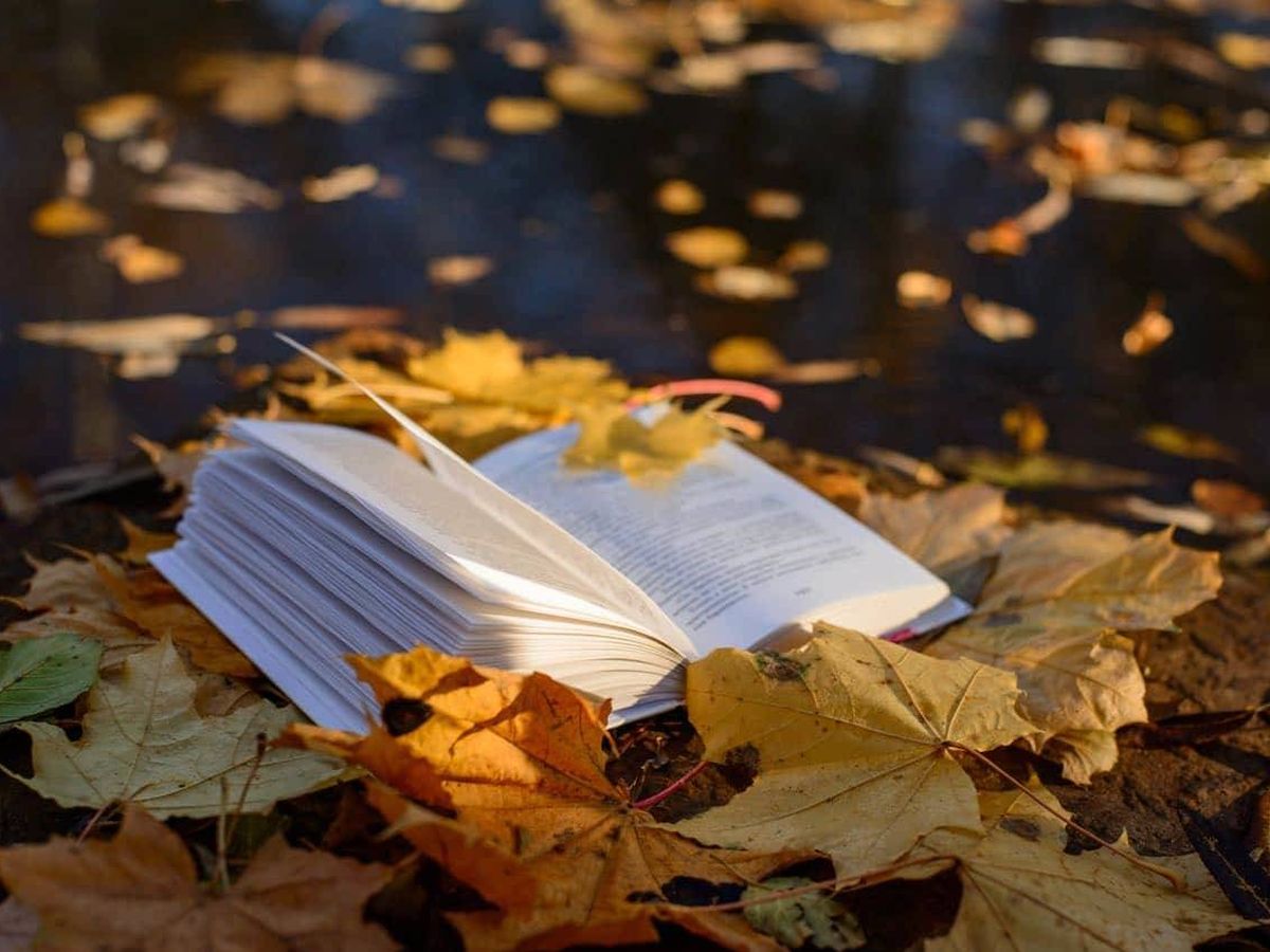 Foto: Libros para leer en otoño.