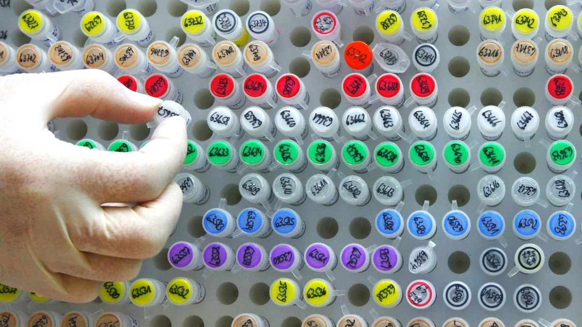 Génetica 'low cost': descifrar tu genoma por cien dólares para mejorar tu vida
