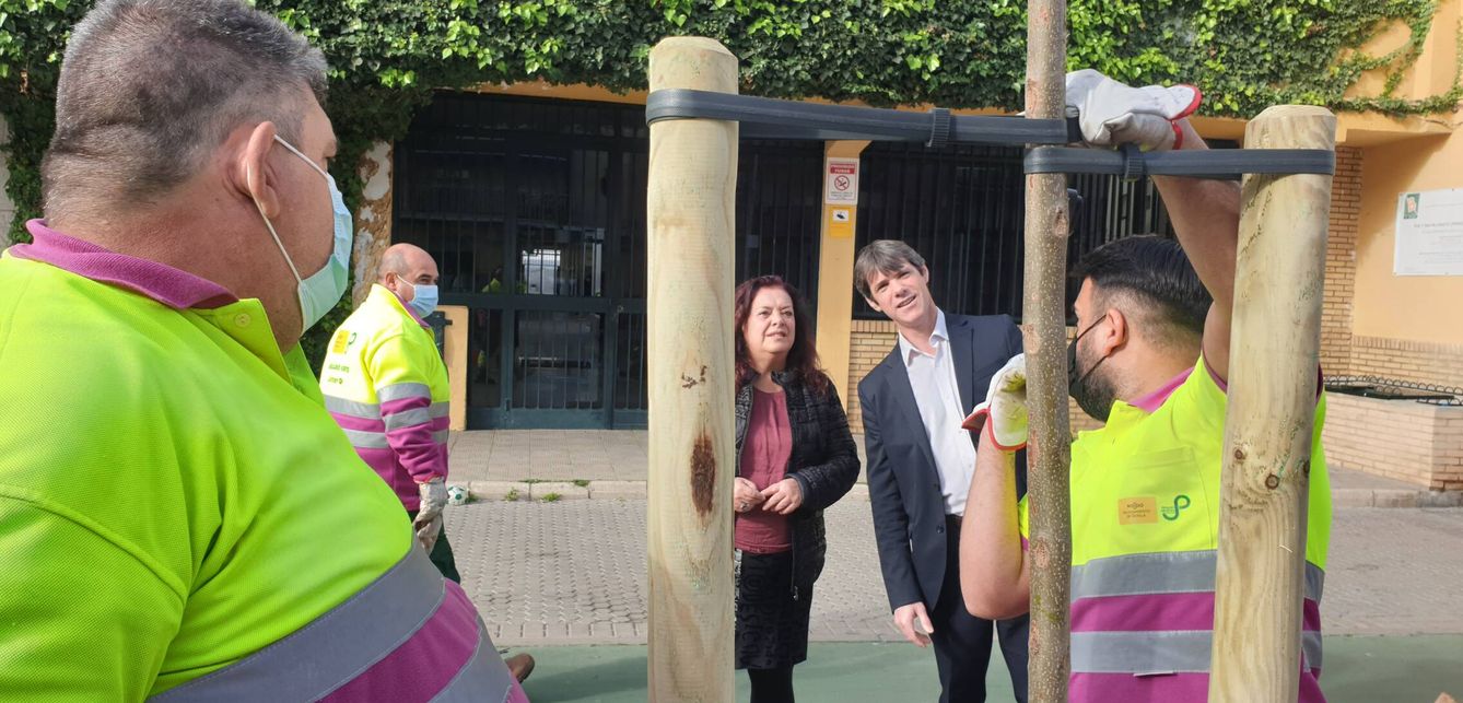 El delegado municipal David Guevara supervisa los trabajos preparativos en los naranjos de la Buhaira. (Ayuntamiento de Sevilla)
