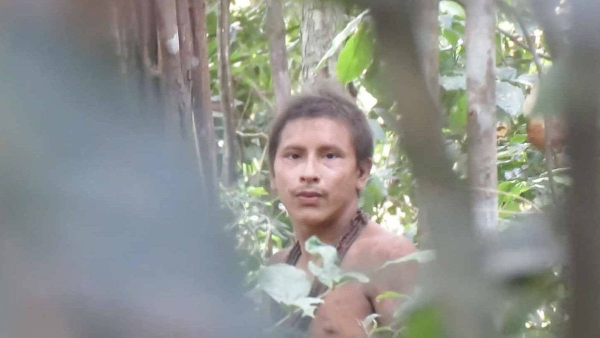 El vídeo que puede salvar a una tribu en el Amazonas sin contacto con la sociedad