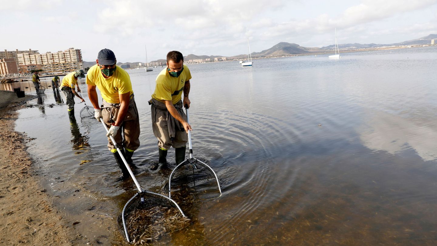 El Mar Menor, contaminado por nitratos. (Reuters/Eva Manez)