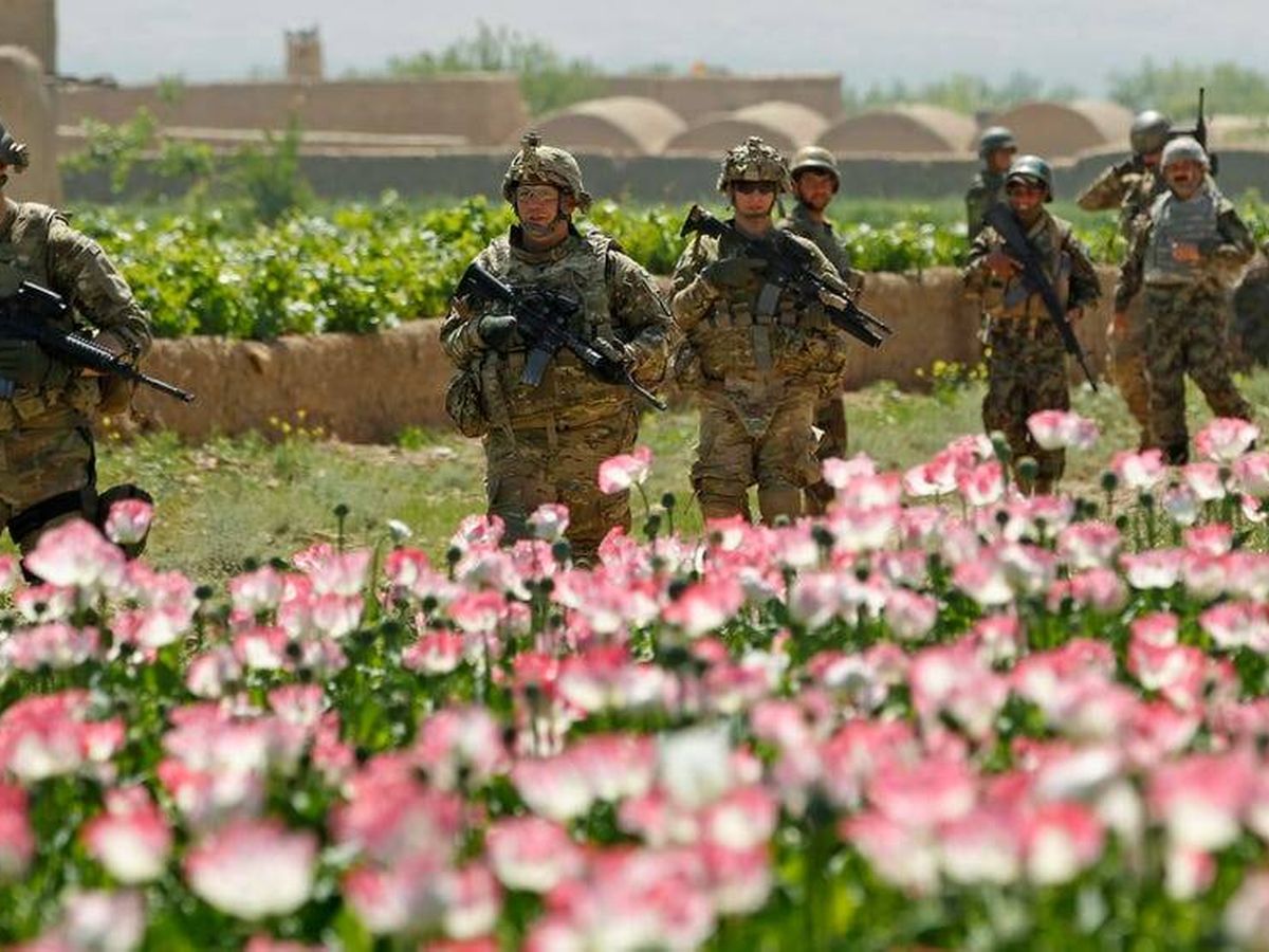 Foto: Soldados estadounidenses ante un cultivo de amapolas. (Reuters)