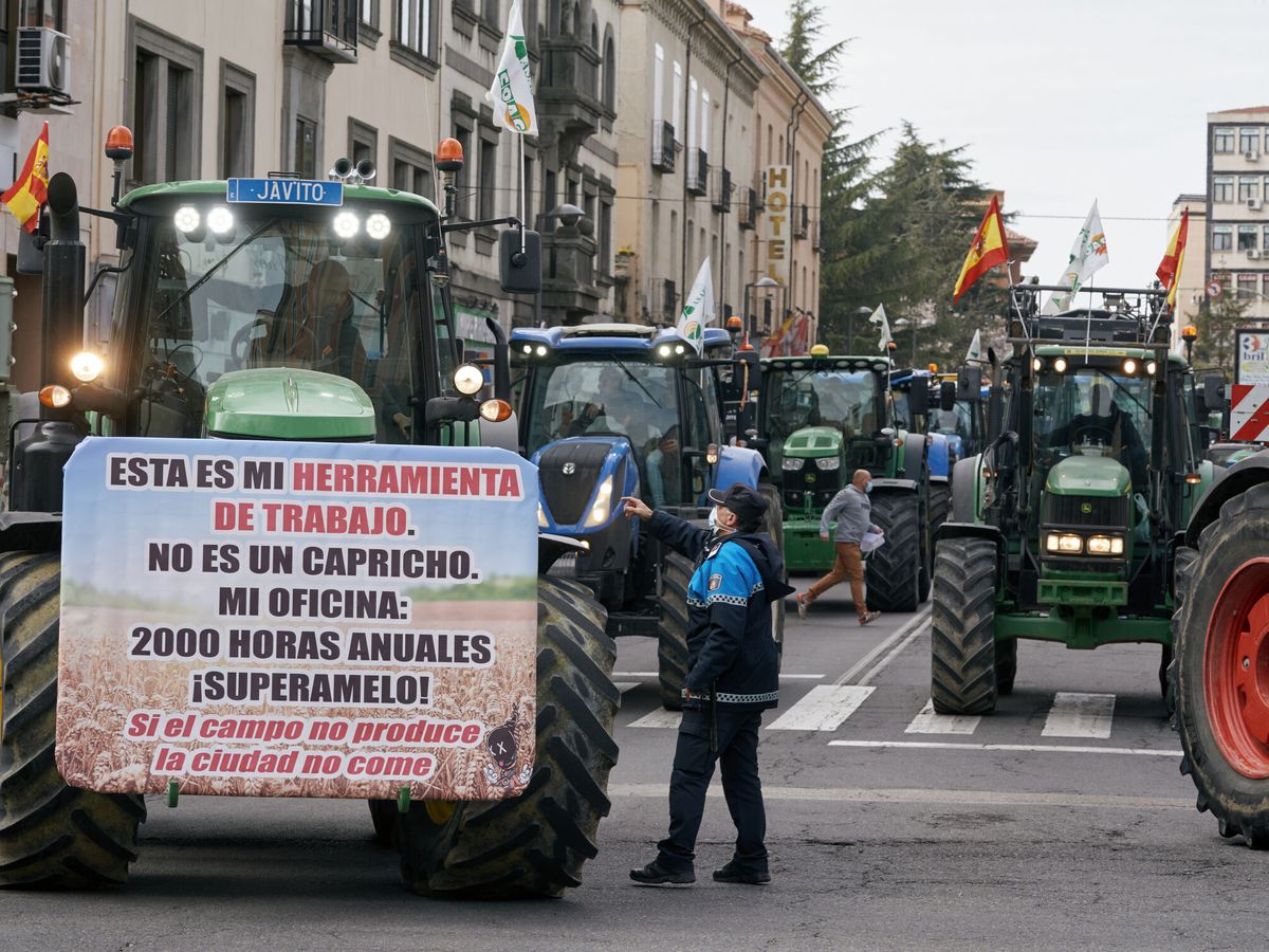 Foto: Concentración de agricultores y ganaderos. (EFE/Raúl Sanchidrián)