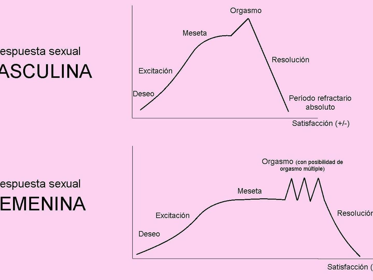 Gráfico de la respuesta sexual humana de Masters y Johnson. 