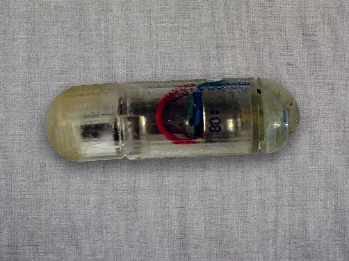 El increíble invento del MIT para adelgazar: una cápsula ingerible que te  hace sentir lleno