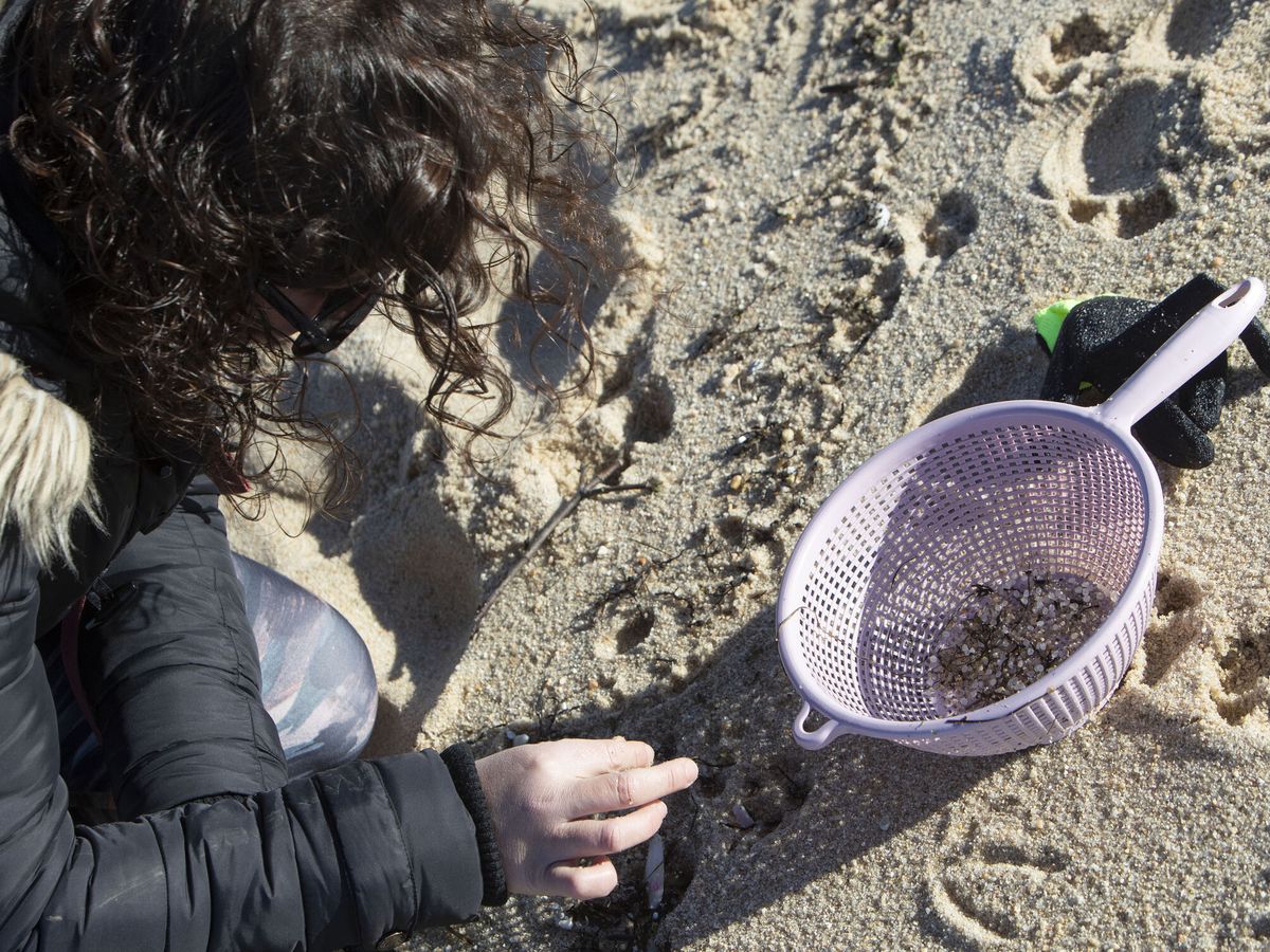 Foto: Voluntarios recogen microplásticos en la playa de A Lanzada (O Grove). (EFE/Salvador Sas)