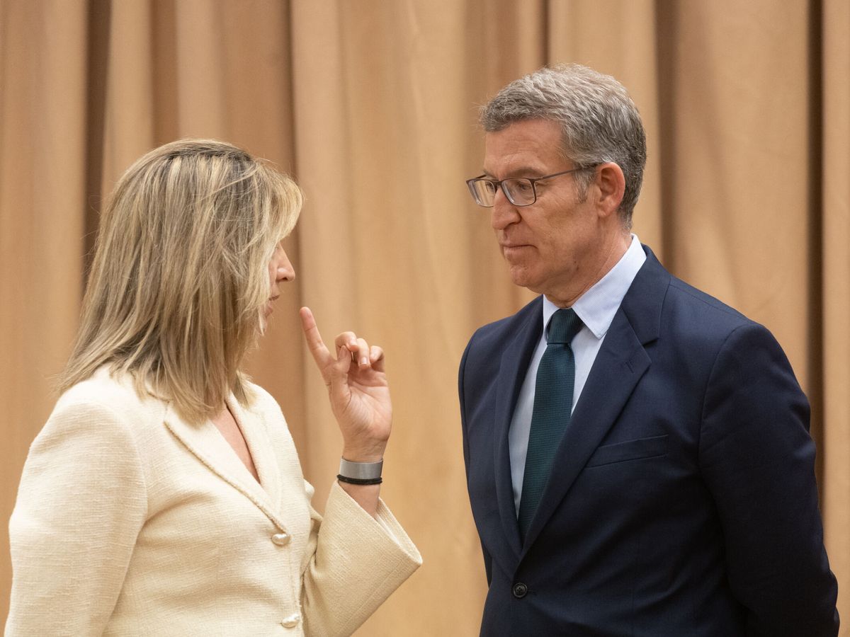 Foto: El líder del PP, Alberto Núñez Feijóo, junto a la portavoz del PP en el Senado, Alicia García. (Europa Press/Eduardo Parra)
