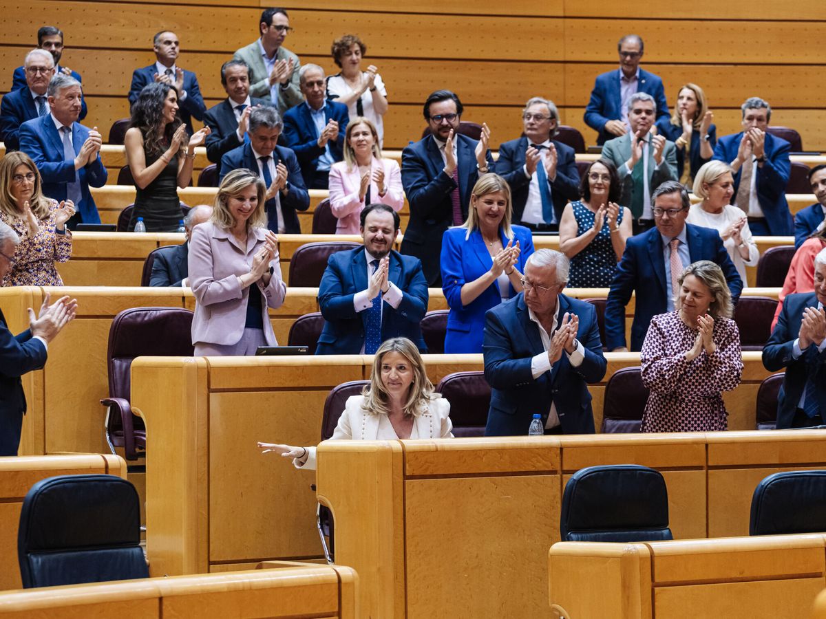 Foto: La bancada del PP en el Senado durante una sesión de control al Gobierno. (Europa Press/Carlos Luján)