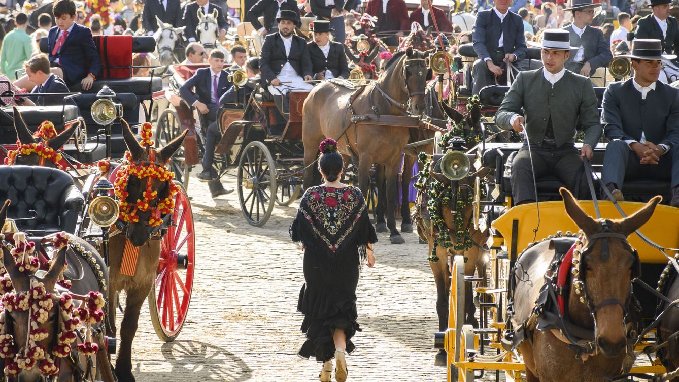 Pacma avisa de la muerte de un caballo en la Feria de Sevilla 2022 por calor y sobreesfuerzo 