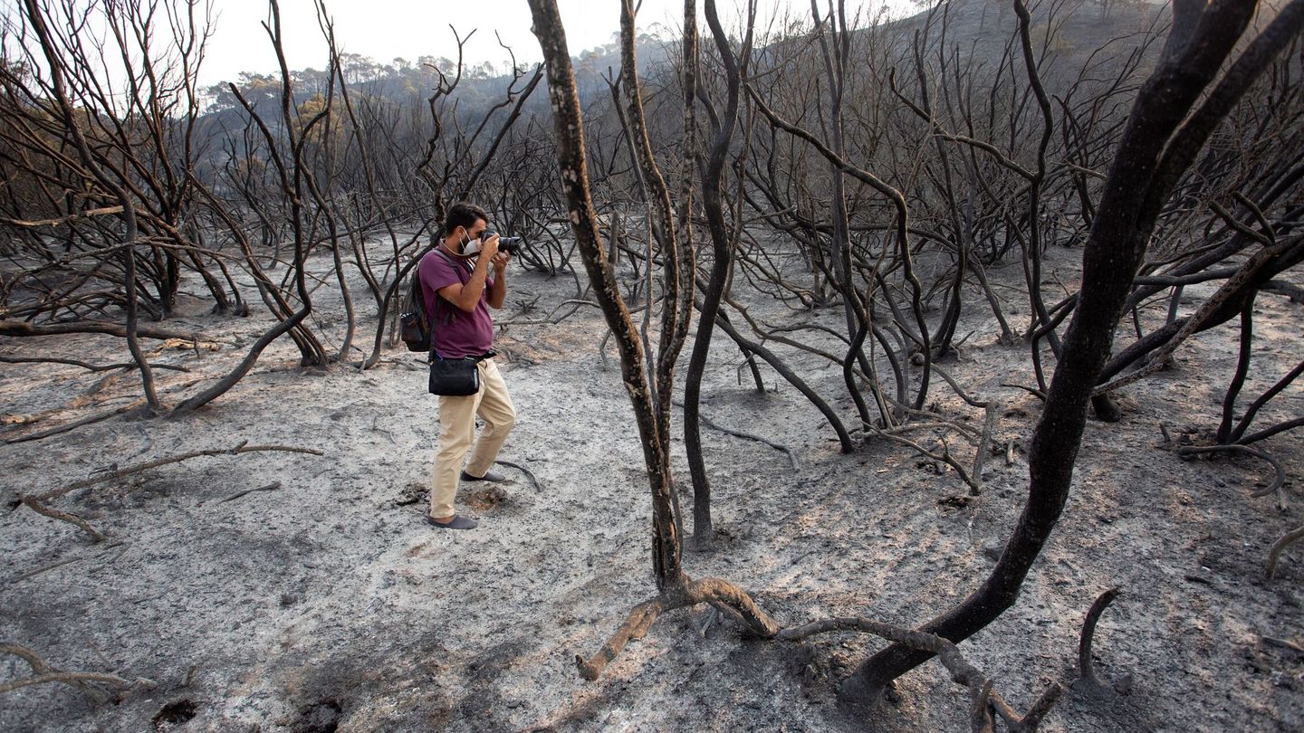 El paisaje de Sierra Bermeja tras el paso de las llamas es desolador. (Reuters) 