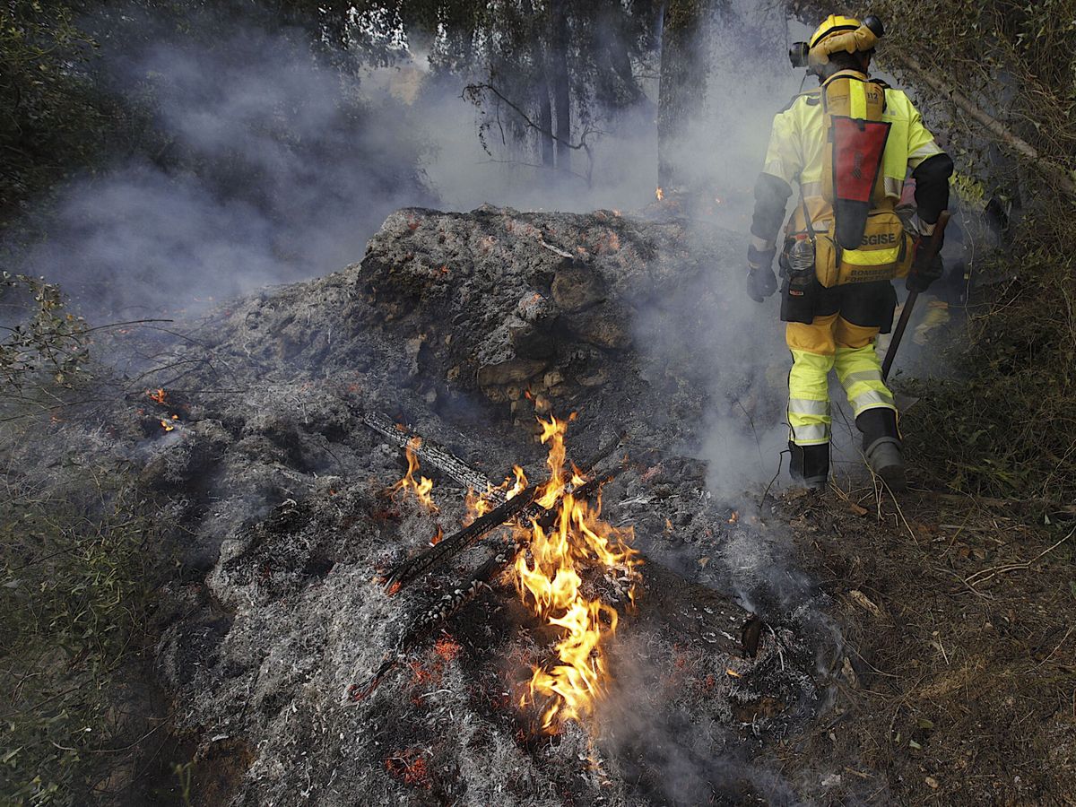 Foto: Imagen de archivo de un incendio forestal. (EFE/Natxo Francés)