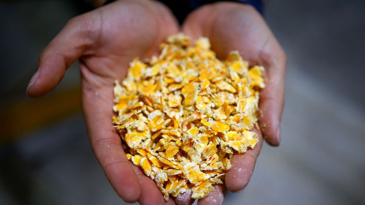 La guerra en Ucrania redibuja el mercado global de cereales, un negocio de 120.000 M 