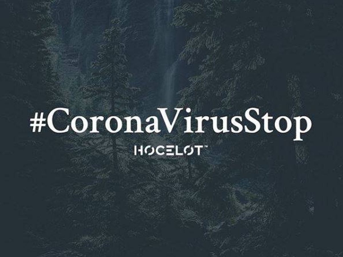 Foto: La web CoronavirusStop.org, creada por Hocelot y cerrada en tres días