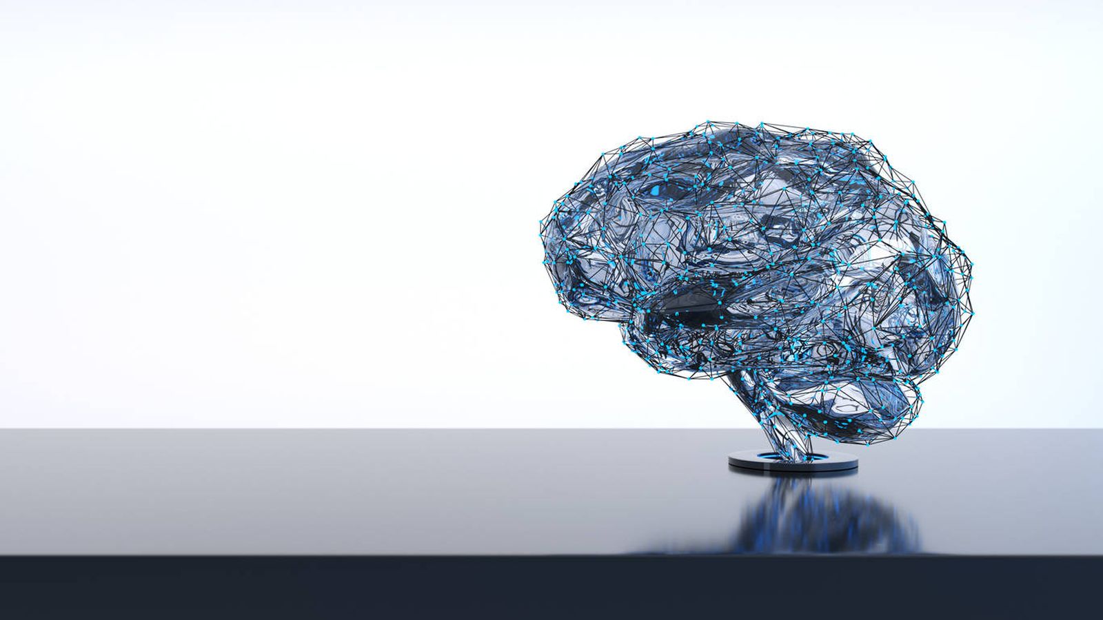 Foto: Un típico cerebro humano. (iStock)