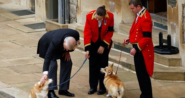 El príncipe Andrés saluda a los perros de la reina. (Reuters/Peter Nicholls)