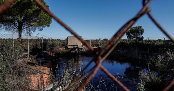 Foto: Balsa de riego ilegal construida cerca de algunos de los 77 pozos que la Confederación Hidrográfica del Guadalquivir (CHG) . (EFE)