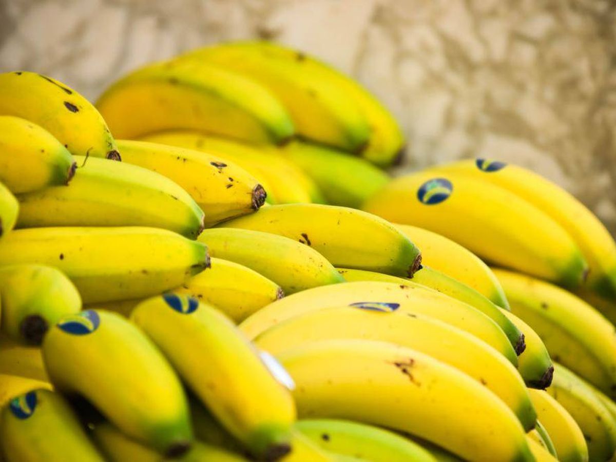 Foto: Plátanos de Canarias.