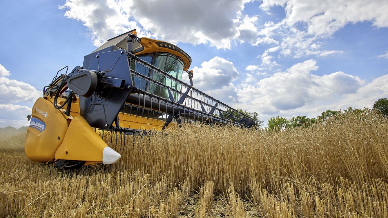 Foto: Una cosechadora recolecta trigo en un campo cerca de Járkov. (EFE/Sergey Kozlov)