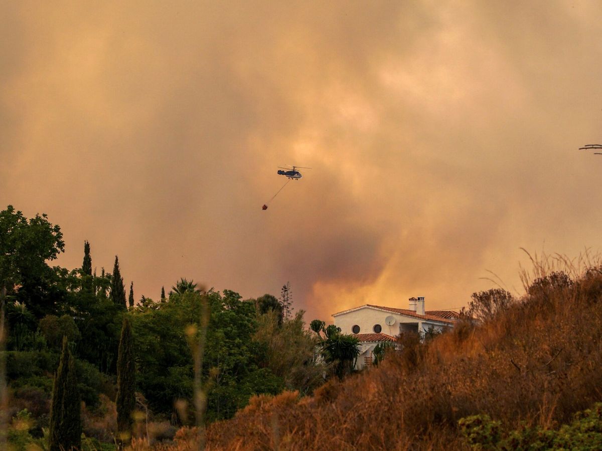 Foto: Incendio en Sierra Bermeja. (EFE)