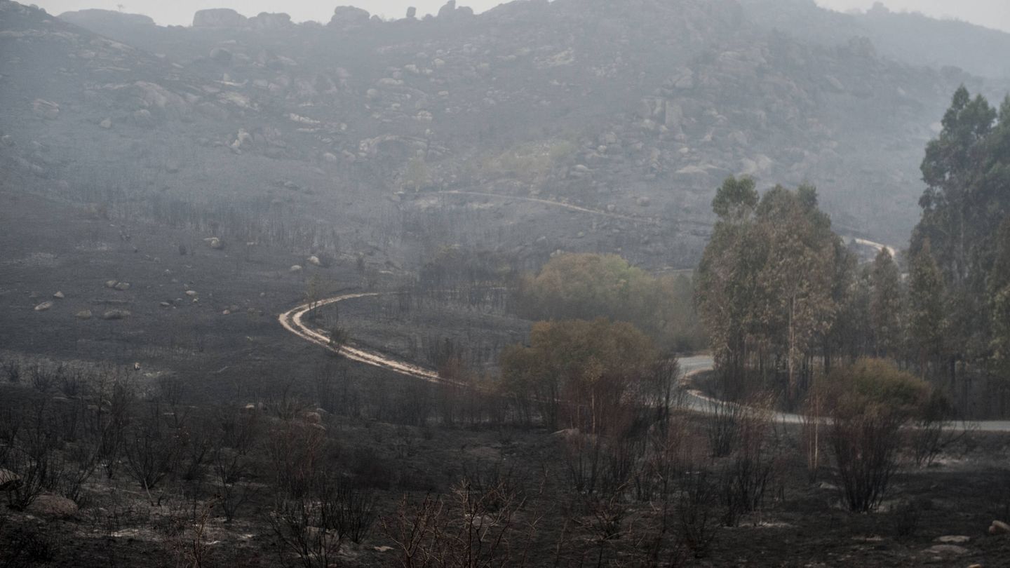 Zona del parque natural Serra do Xurés arrasada por las llamas. (Brais Lorenzo)