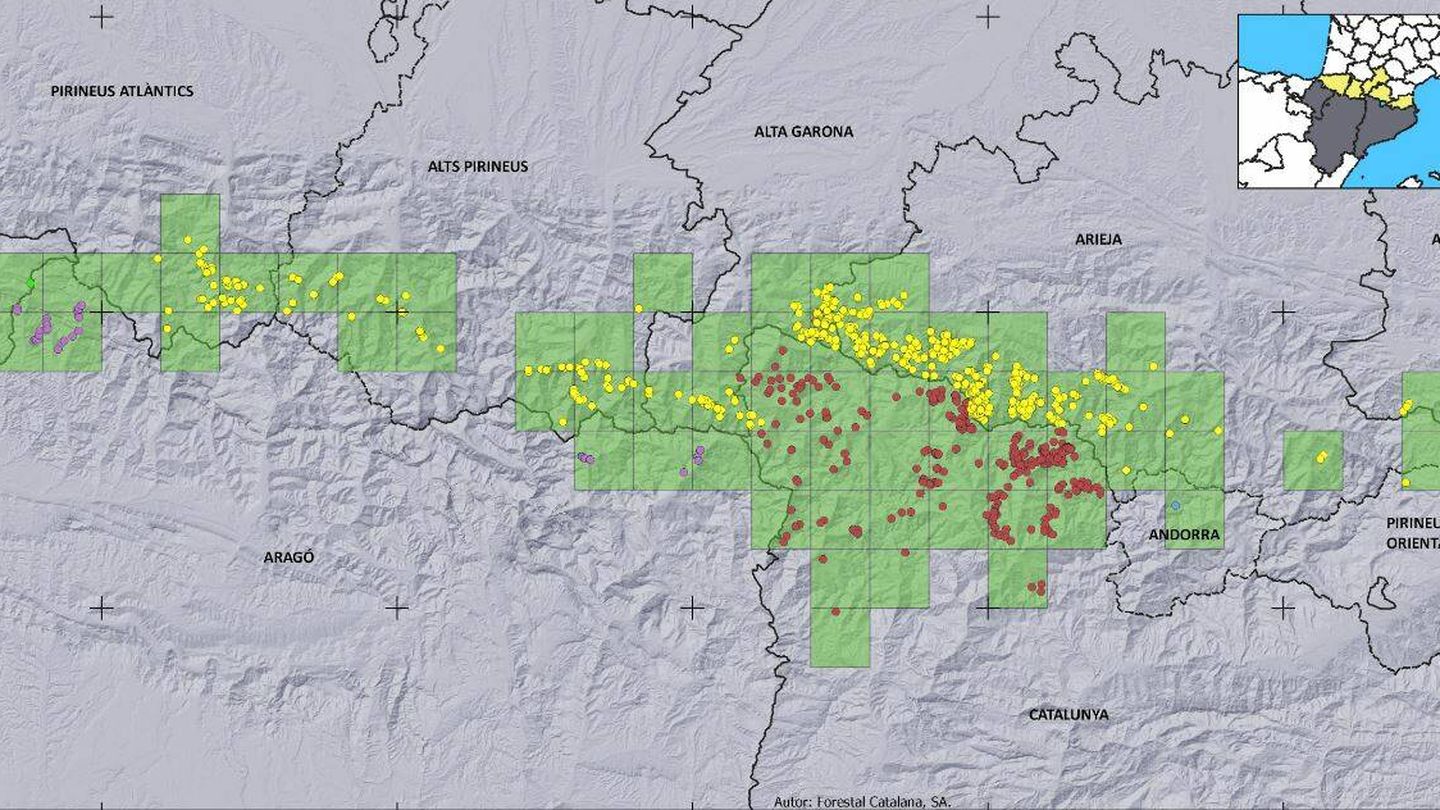 Mapa de distribución del oso pardo en Pirineos. (Marzo 2023/GSOTP)