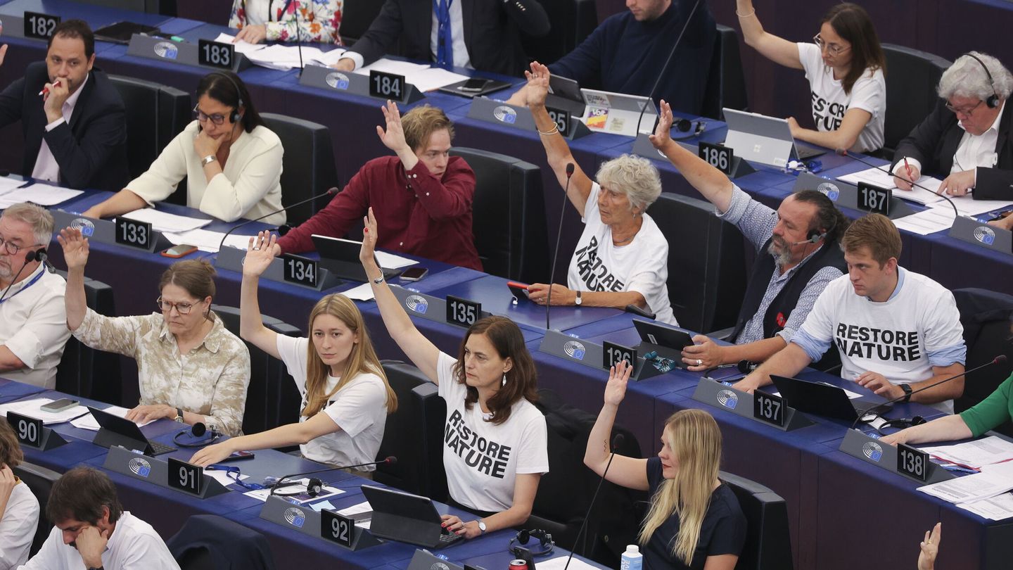 Votación de la ley en el Parlamento Europeo (EFE/J.Warnard)