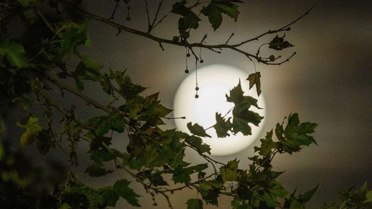 Última luna llena del año: horario y dónde ver mejor la Luna Fría