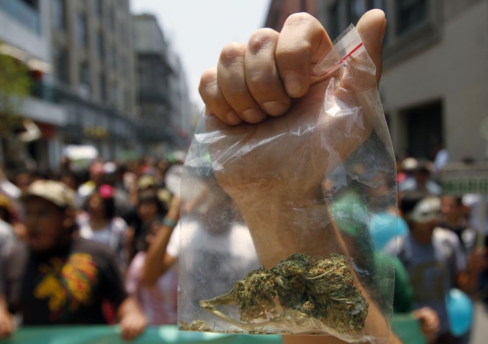 Foto: Marcha para la legalización de la marihuana en México D.F. (Reuters)