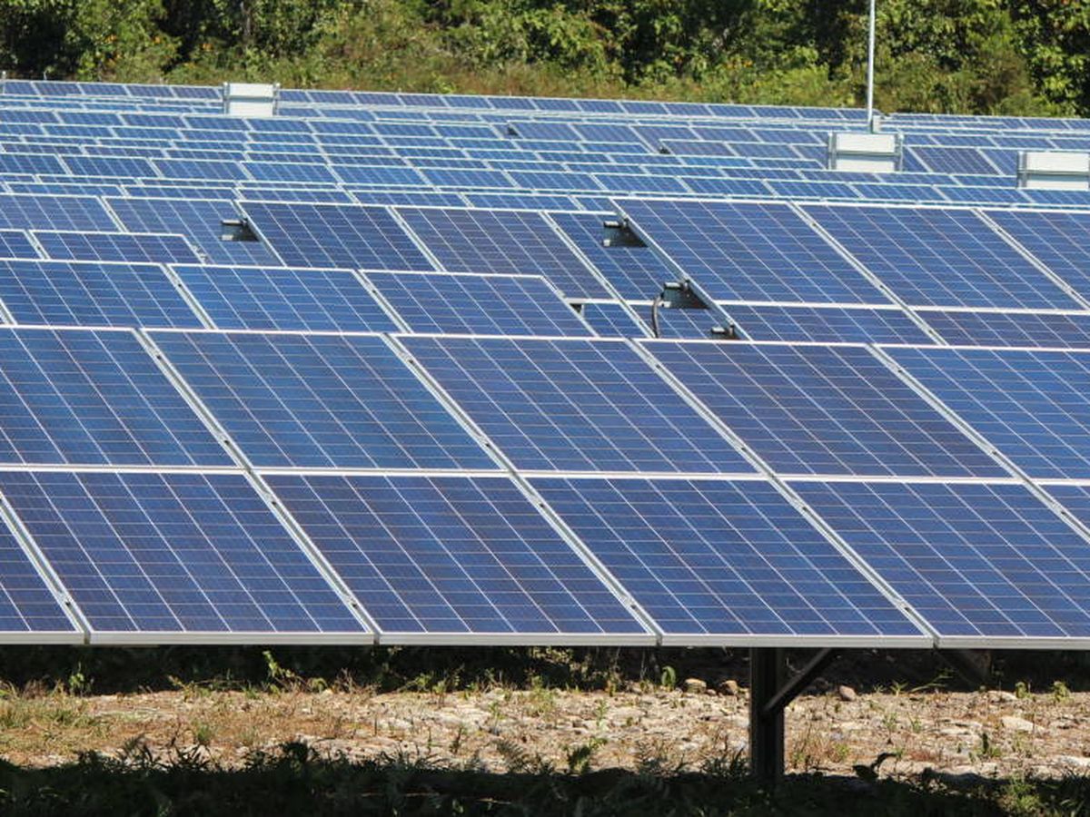 Foto: Foto de recurso de un parque solar de energía fotovoltaica. (Efe)