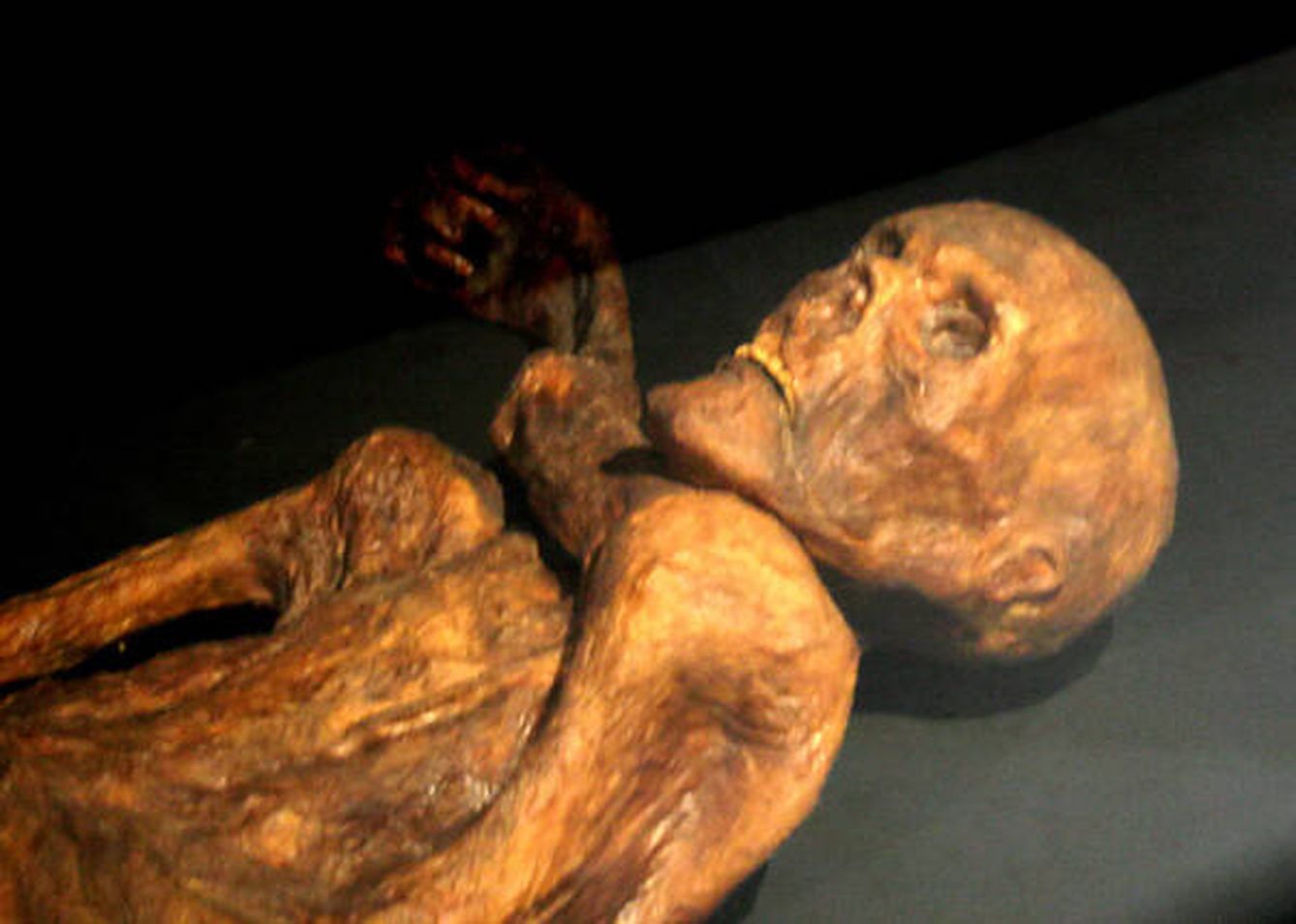 La momia natural de Otzi the Iceman, descubierta en un paso alpino en 1991. - Wikipedia