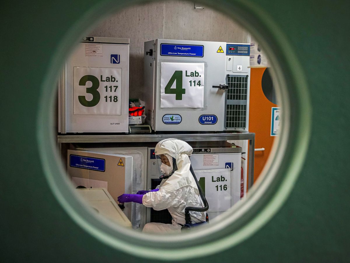 Foto: Los laboratorios trabajan sin cesar para encontrar una vacuna contra el coronavirus. (EFE)