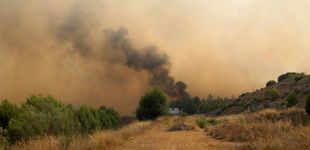 Post de Más de 100 personas trabajan para contener un incendio forestal declarado en Hellín (Albacete)