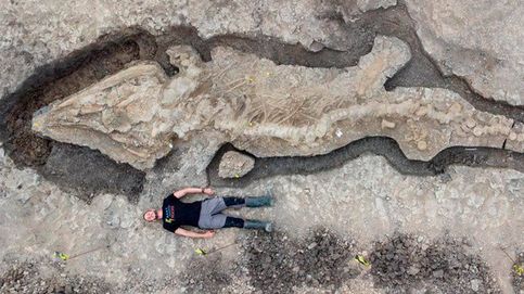 Encuentran un enorme 'reptil marino' fosilizado en el embalse de Rutland 