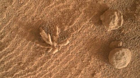 El Curiosity encuentra en Marte un diminuto coral en forma de 'flor'
