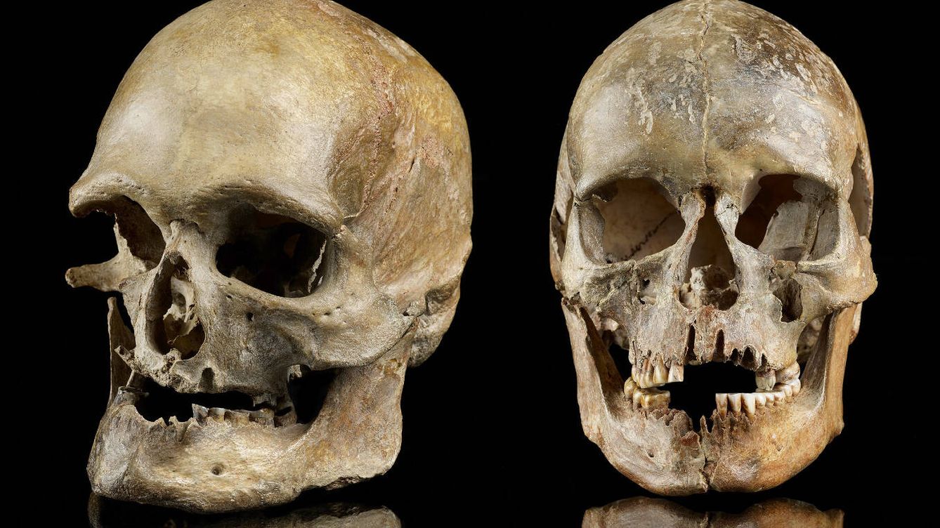 Foto: Cráneos de hace 14.000 años hallados en Alemania y genéticamente procedentes del sur. (Jürgen Vogel, LVR LandesMuseum Bonn)