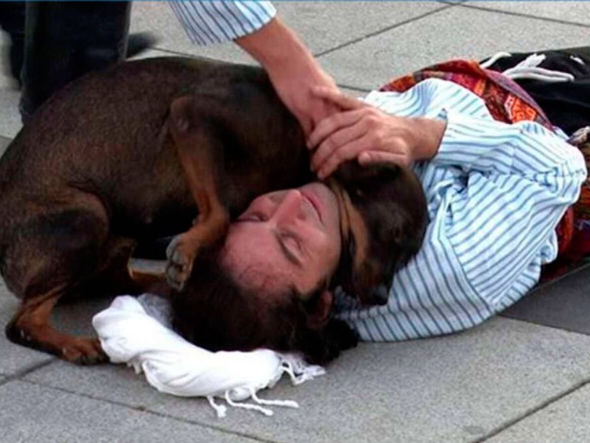 Foto: El perro se colocó sobre el actor para transmitirle su calor (YouTube)