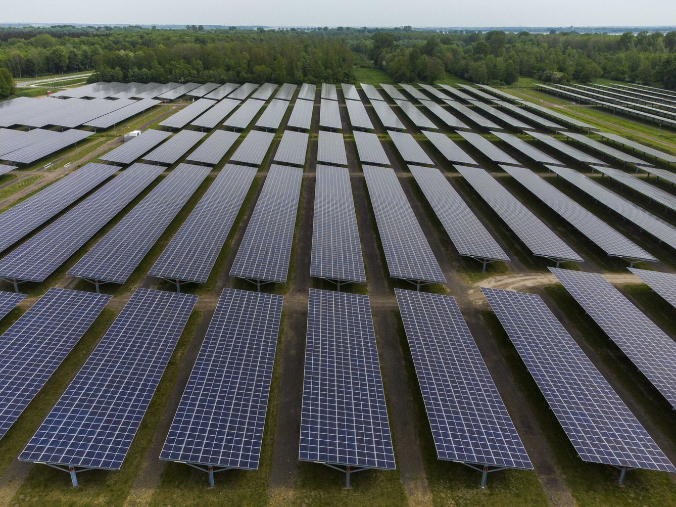 Fotografía de un parque solar fotovoltaico. (EFE/Vincent Jannink) 