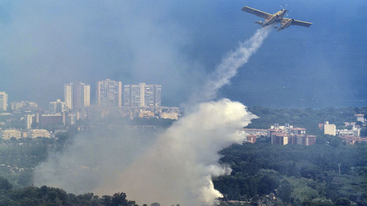 Hallan muerto al piloto de la avioneta antiincendios siniestrada en Zamora