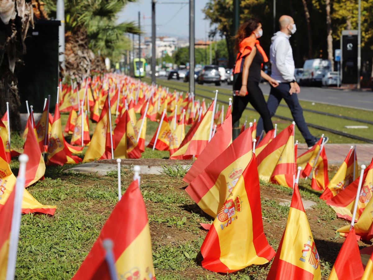Foto: Banderas plantadas en Murcia como homenaje a los fallecidos por covid. (EFE)