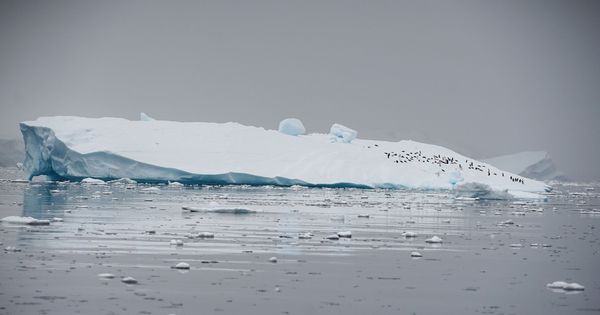Foto: Un cementerio de hielo: el lugar al que irá a parar el iceberg más grande del mundo. (Reuters)