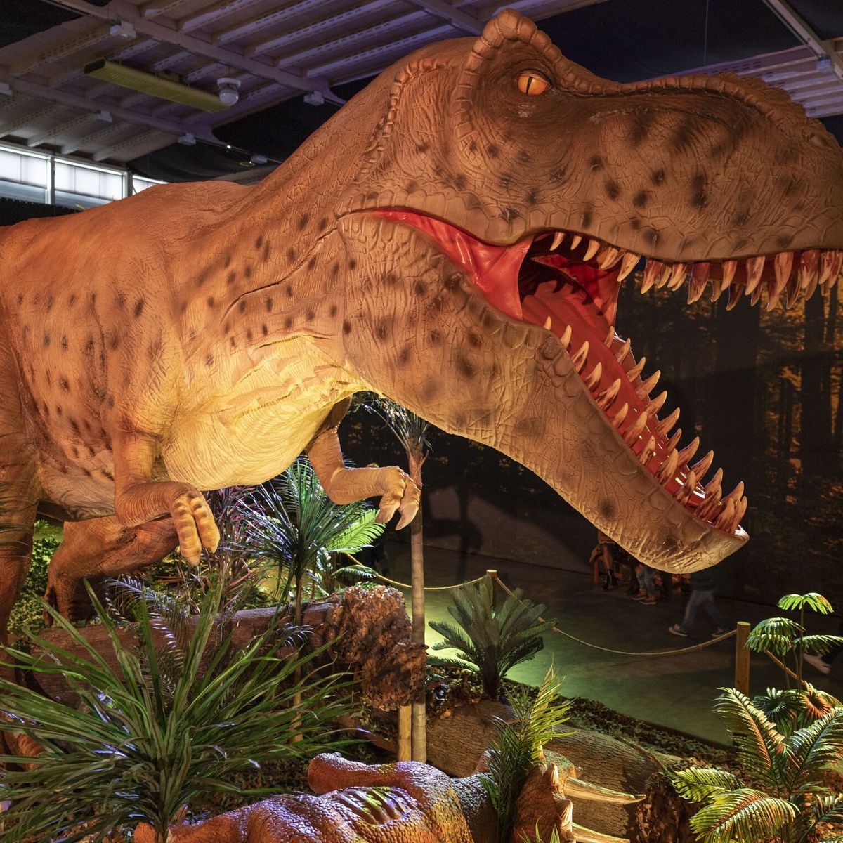Por qué los tiranosaurios rex tenían los brazos tan pequeños?