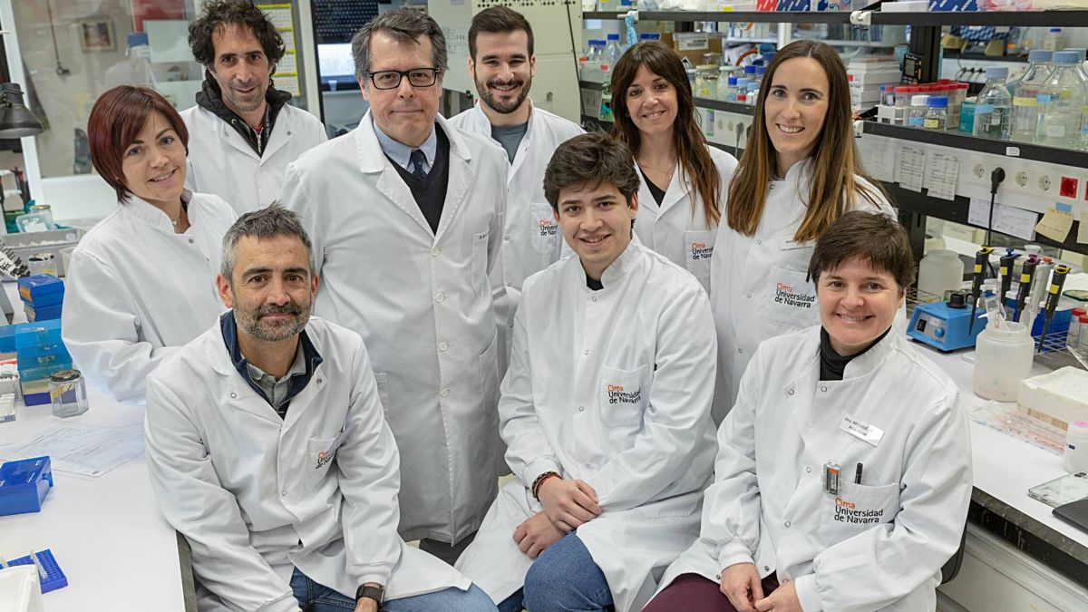 Investigadores españoles identifican dianas para tratar el cáncer de hígado infantil más frecuente