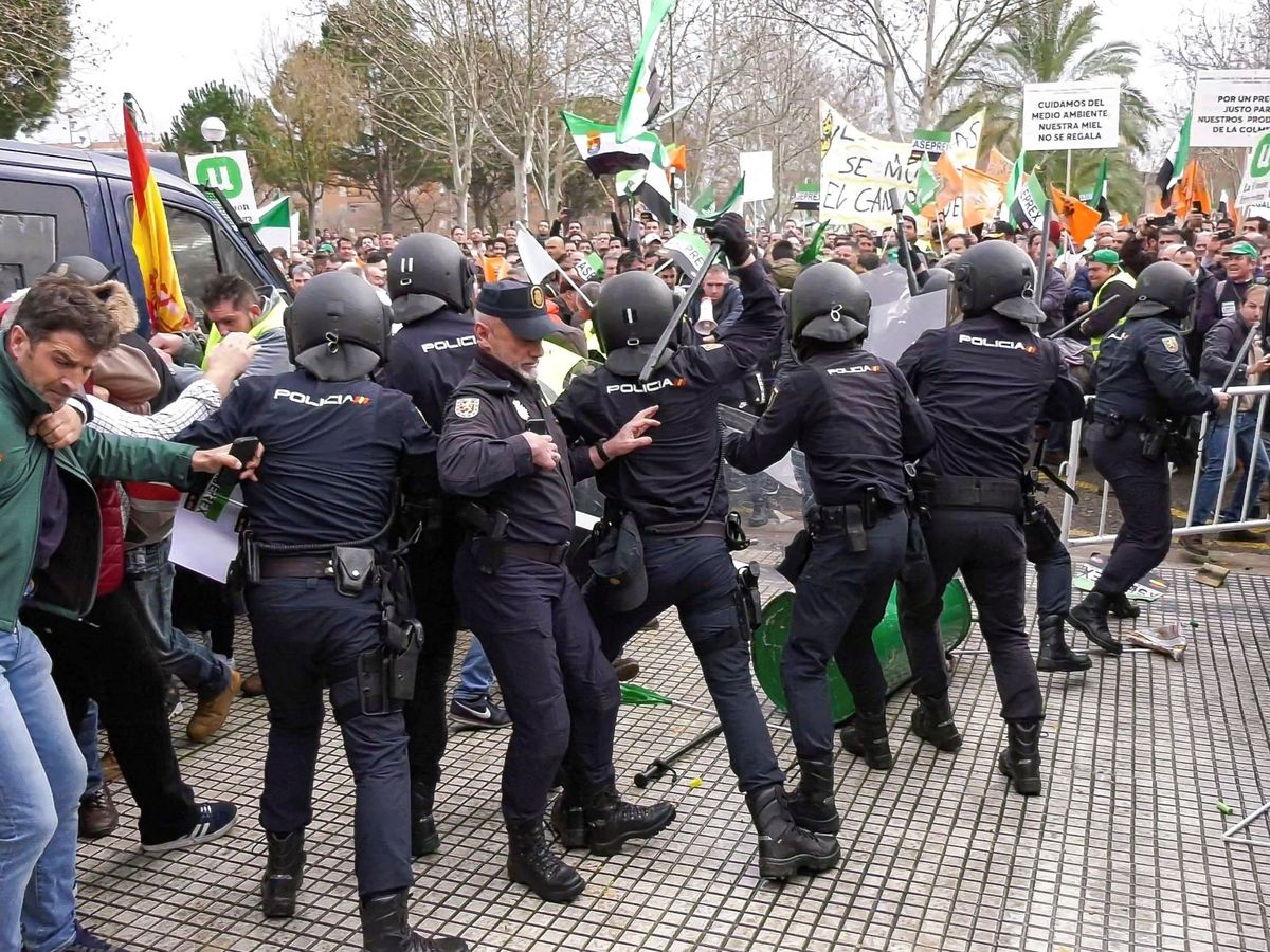 Foto: Centenares de agricultores confrontan con miembros de la policía nacional. (EFE)
